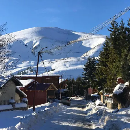 80 Kodra E Diellit