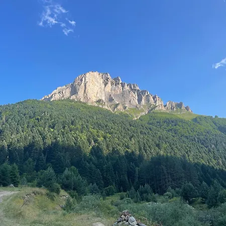 80 Kodra E Diellit