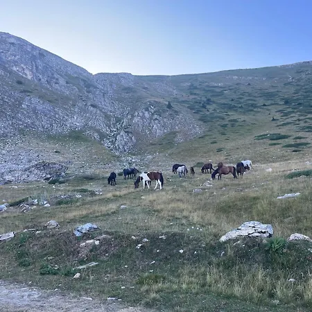 Hébergement de vacances 80 Kodra E Diellit